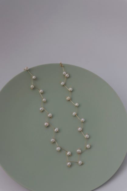 Collar Astro